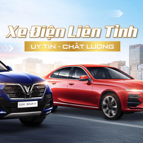 XE ĐIỆN VF8